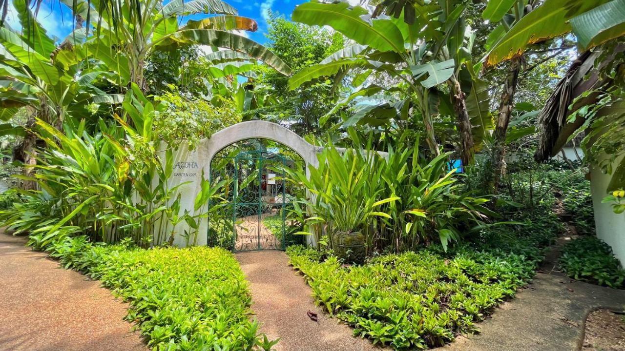 Coco Grove Beach Resort, Siquijor Island Ngoại thất bức ảnh Entrance to the botanical garden